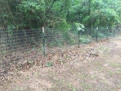 Green net wire fencing through a wooded pasture in Wise County